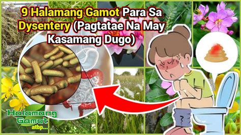 halamang gamot sa pagtatae ng biik|Halamang Gamot Sa Pagtatae O Diarrhea: 13 Home Remedy Sa .